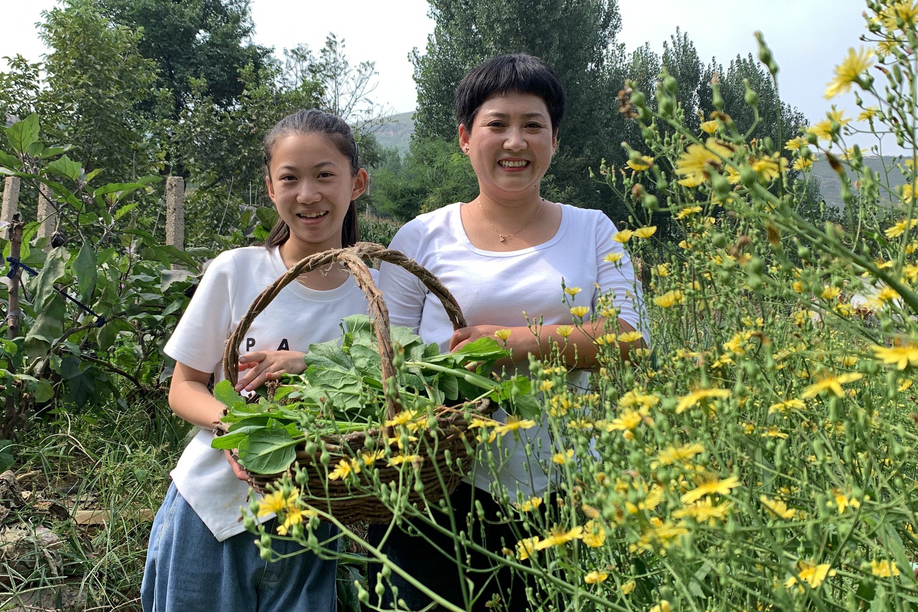 农家小院各种蔬菜郁郁葱葱，拔点涮火锅吃，吃在嘴里美在心里