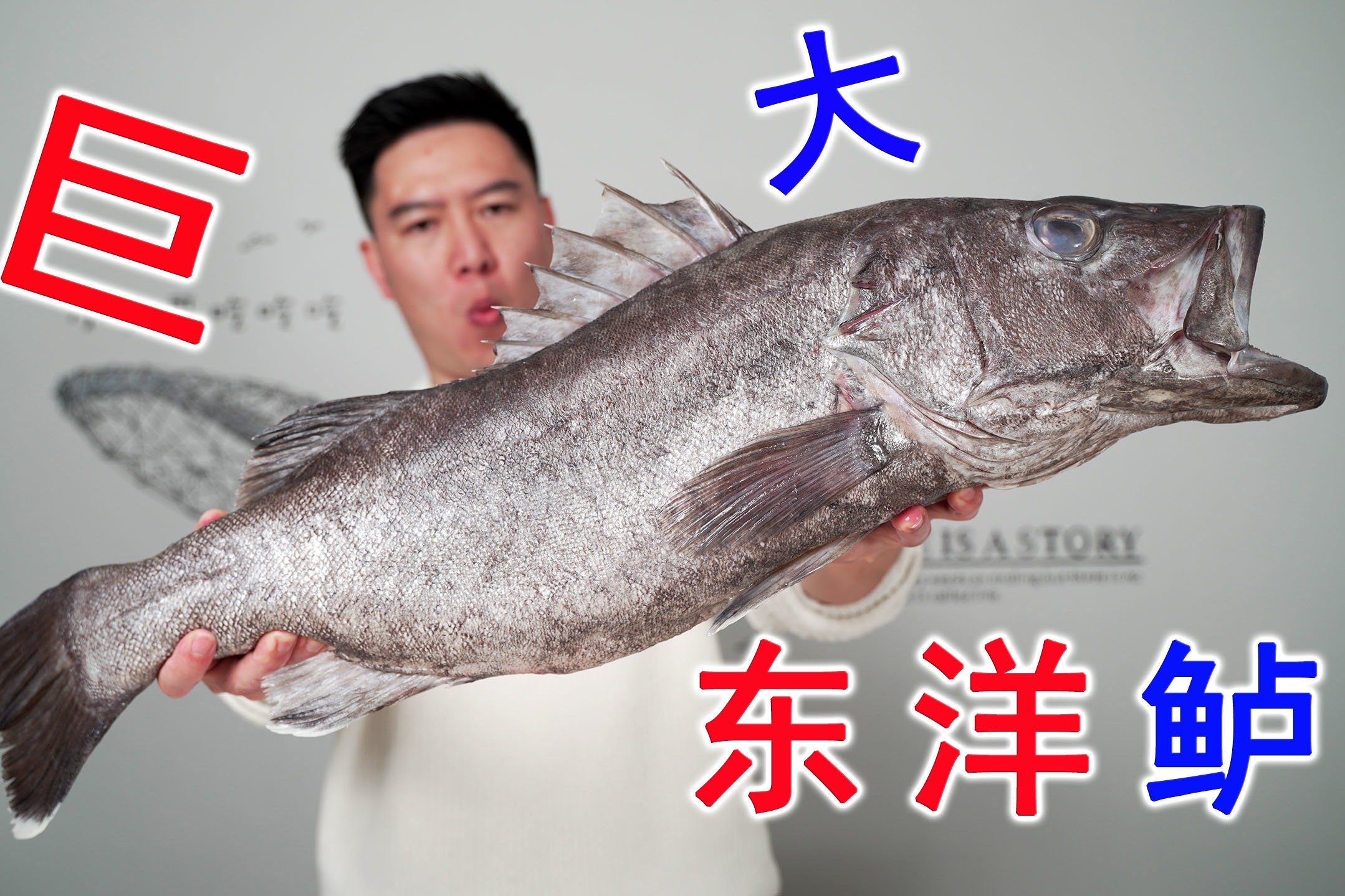 顶级大海货又来了，煮酸菜鱼酸辣酸爽，绝了