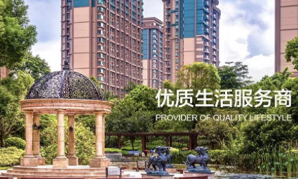 雅居乐，被追债的赌徒_凤凰网