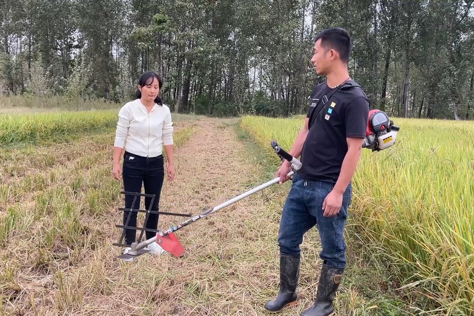 小伙地里割秧根，媳妇刚来俩人就吵架，媳妇气的扭头就走，咋回事