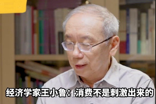 经济学家王小鲁：消费不是刺激出来的，要解决切身问题人才敢消费