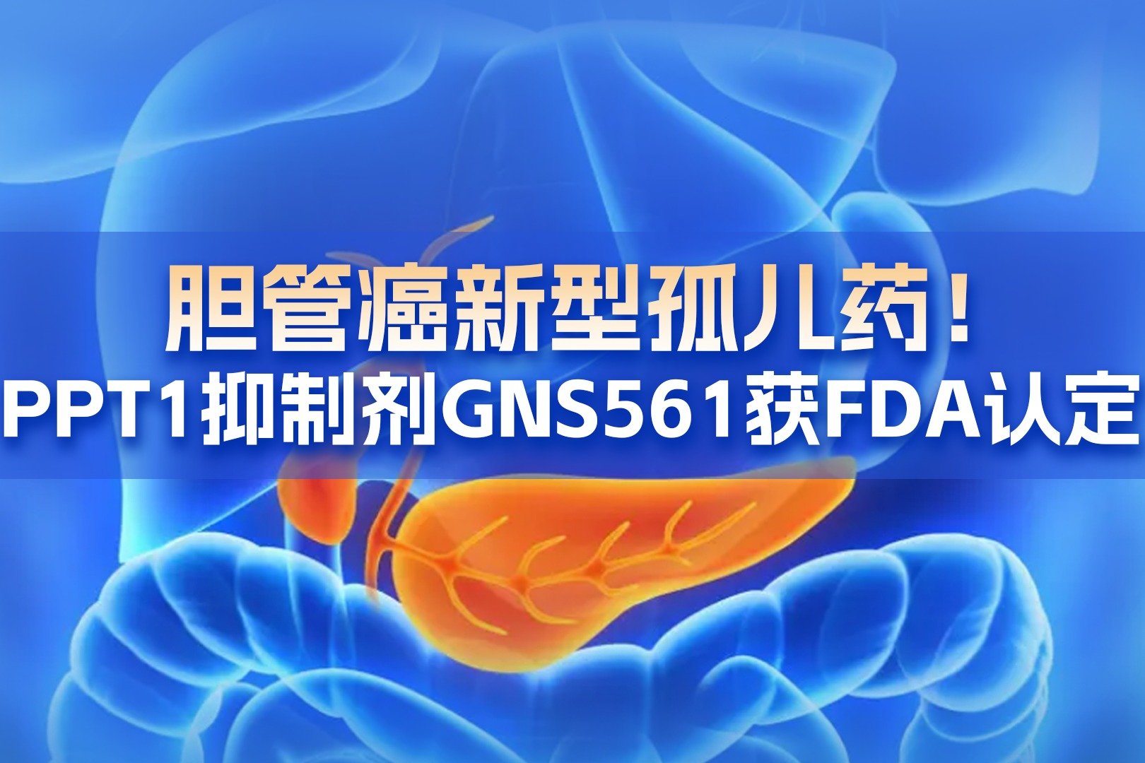 胆管癌新型孤儿药！PPT1抑制剂GNS561获FDA认定