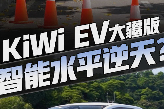 自适应巡航、打灯变道，遇到桩筒还会避让，10万买的表现太逆天