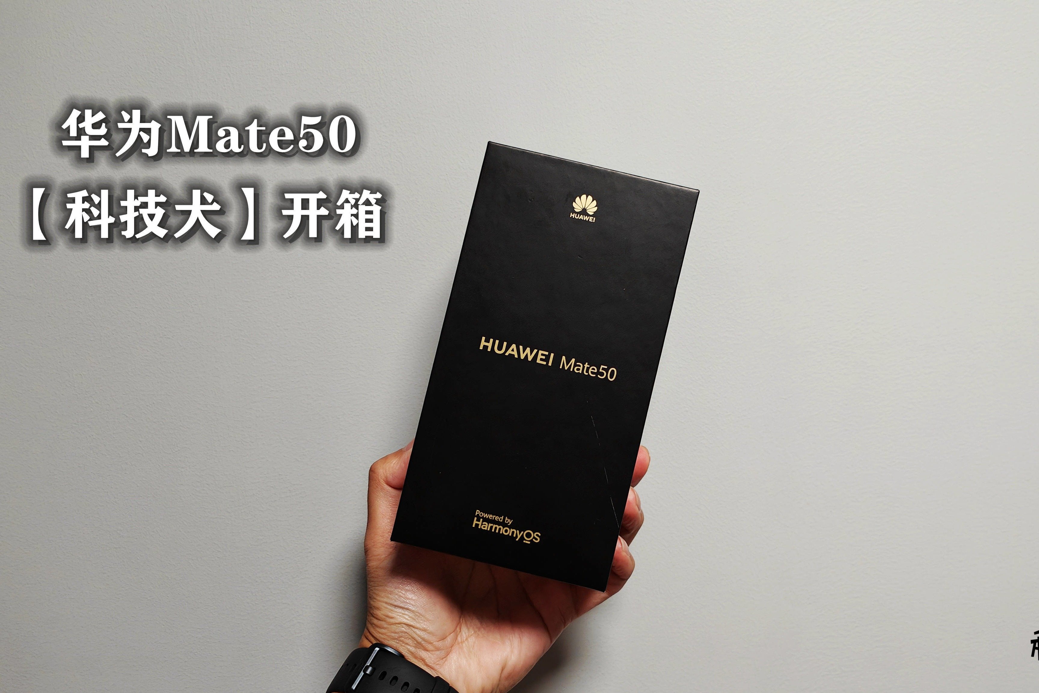 科技犬|华为Mate50开箱:上架秒没的年度「黑科技之王」来了_凤凰网视频_凤凰网