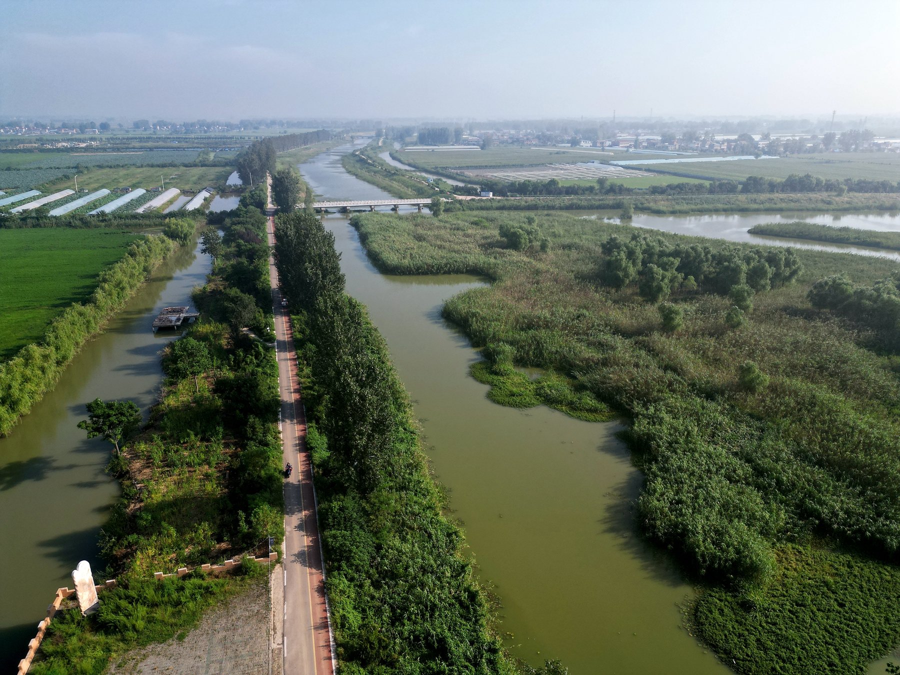 蚌埠三岔河湿地图片