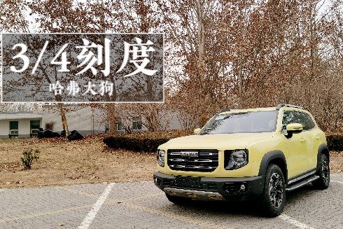 3/4刻度的哈弗大狗